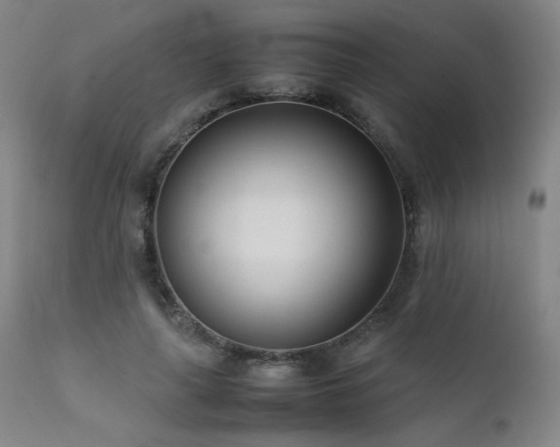 X0000111500643200907141313