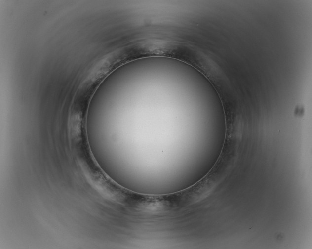 X0000111500646200907141313