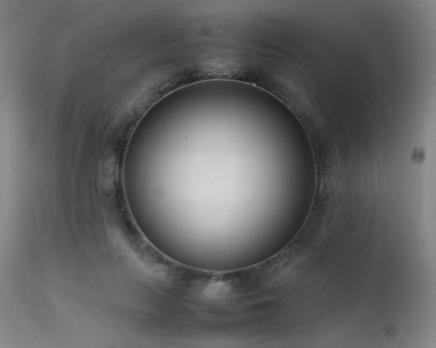 X0000111500647200907141313