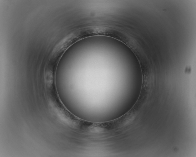 X0000111500648200907141313