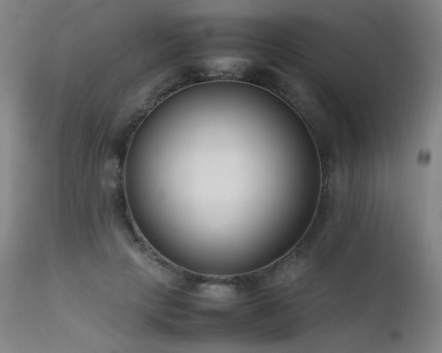 X0000111500649200907141313