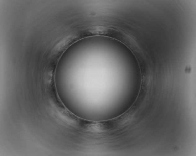 X0000111500652200907141313