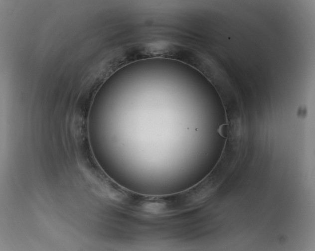 X0000111500653200907141313