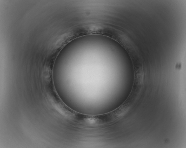 X0000111500654200907141313