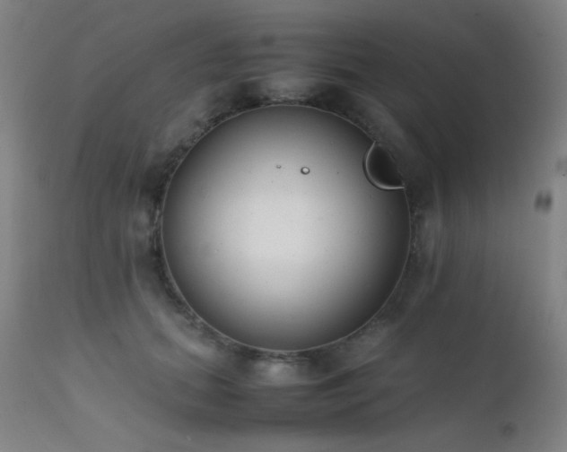 X0000111500655200907141313