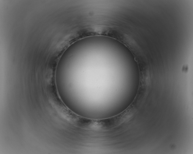 X0000111500656200907141313