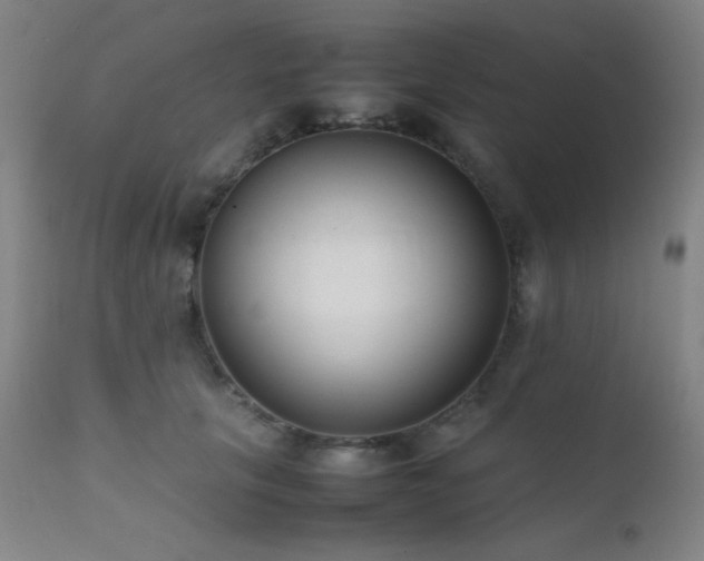 X0000111500657200907141313