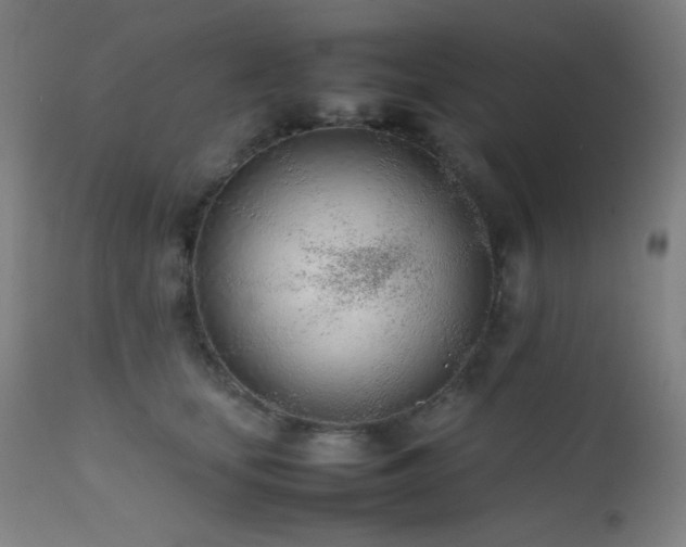 X0000111500659200907141314