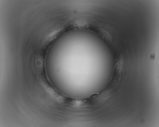 X0000111500662200907141314
