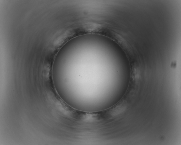 X0000111500664200907141314