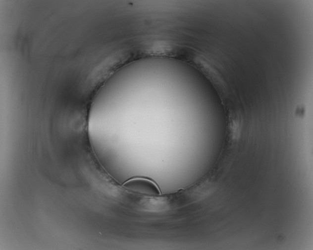 X0000111500665200907141314