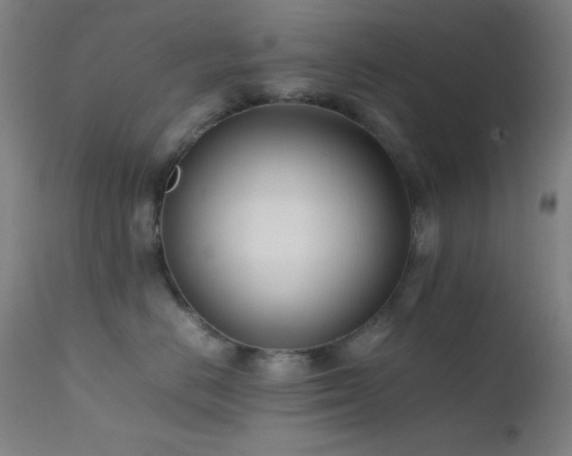 X0000111500670200907141314