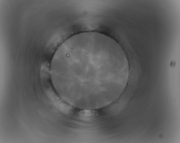 X0000111500672200907141314
