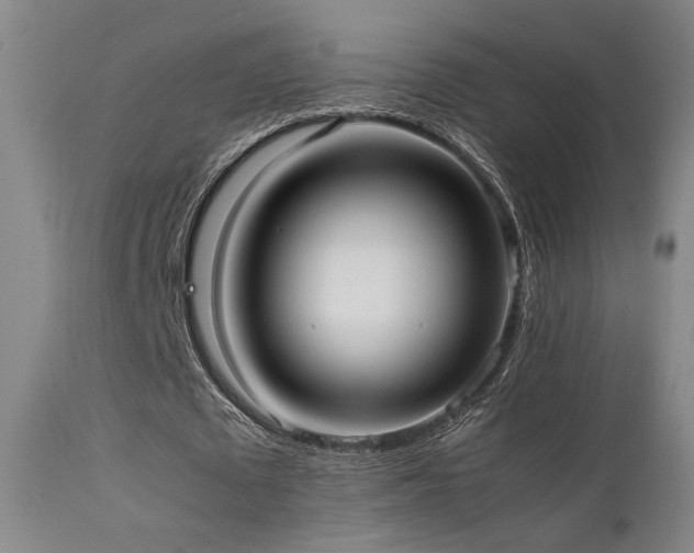 X0000111500673200907141313