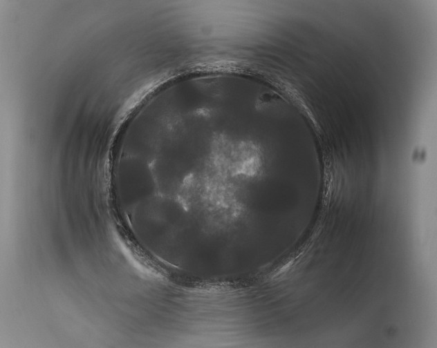 X0000111500674200907141313