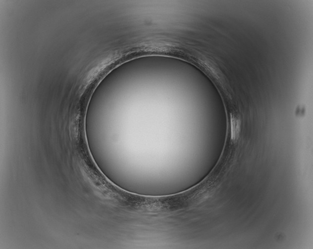 X0000111500675200907141313