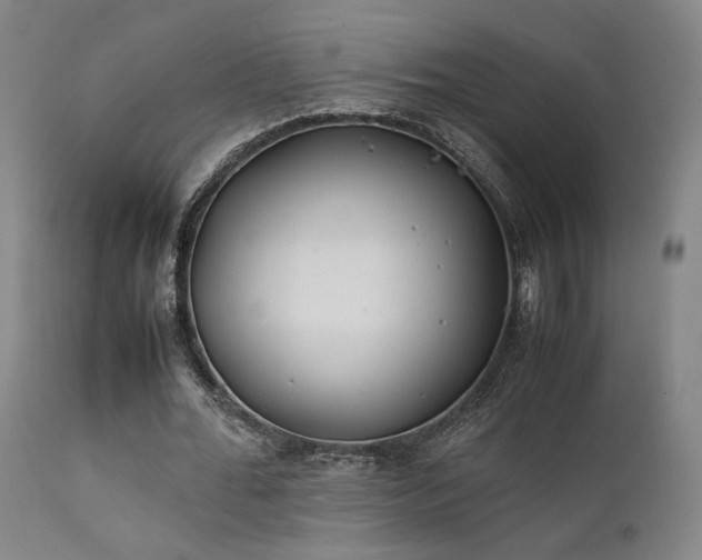 X0000111500676200907141313