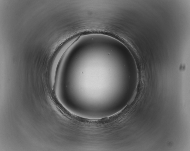 X0000111500677200907141313
