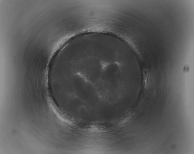 X0000111500678200907141313