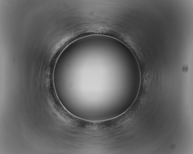 X0000111500679200907141313