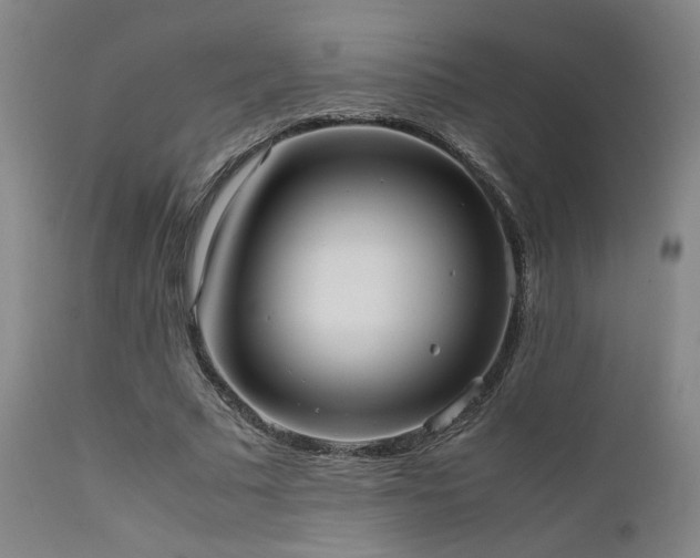 X0000111500681200907141313