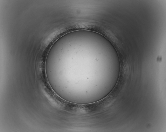 X0000111500683200907141313