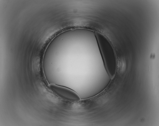 X0000111500684200907141313