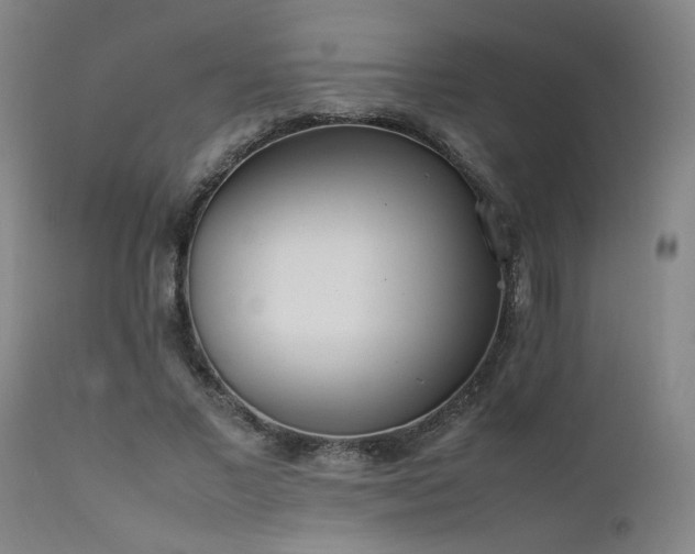 X0000111500685200907141313