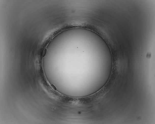 X0000111500688200907141313