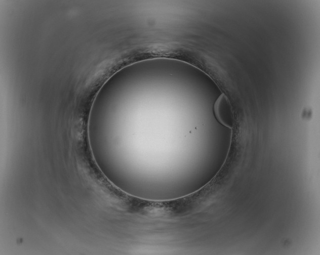 X0000111500689200907141313