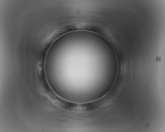 X0000111500691200907141313