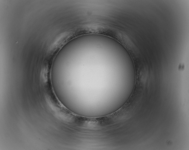 X0000111500694200907141313