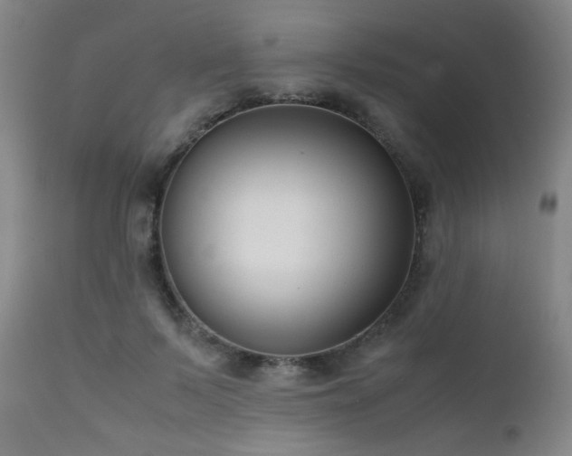 X0000111500695200907141313