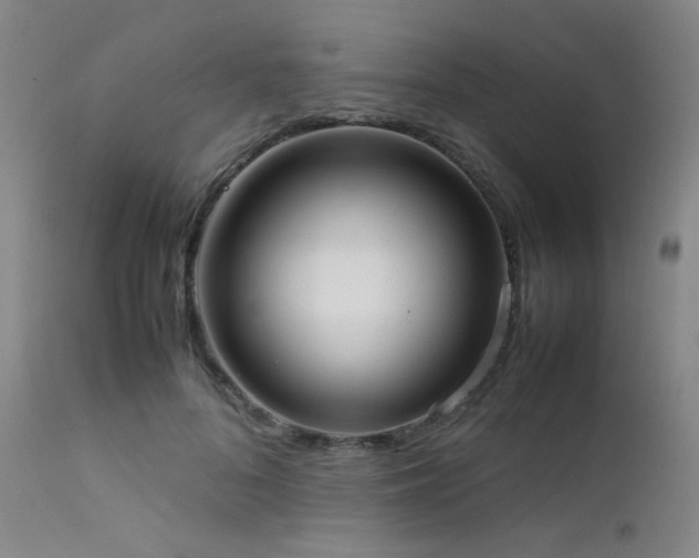 X0000111500696200907141313