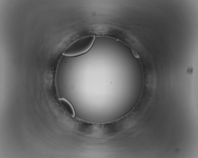 X0000111500697200907141313