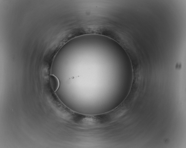 X0000111500699200907141313