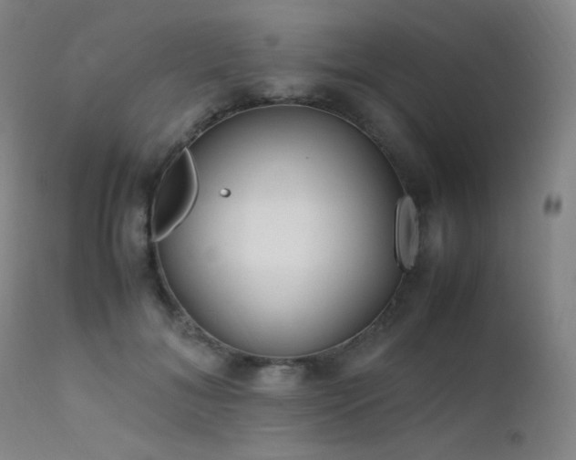 X0000111500700200907141313