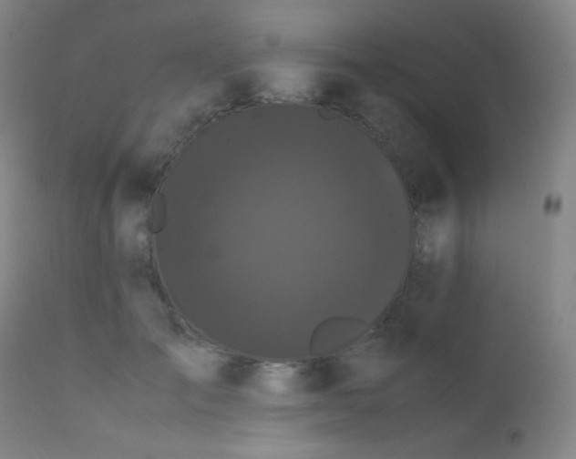 X0000111500701200907141313