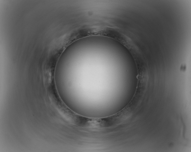 X0000111500703200907141313