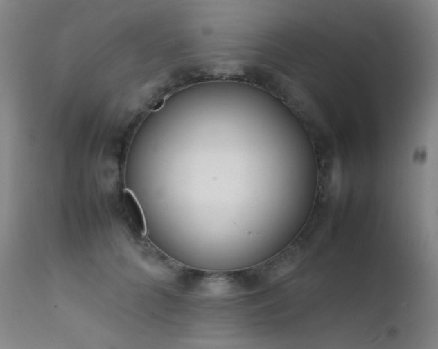 X0000111500704200907141313