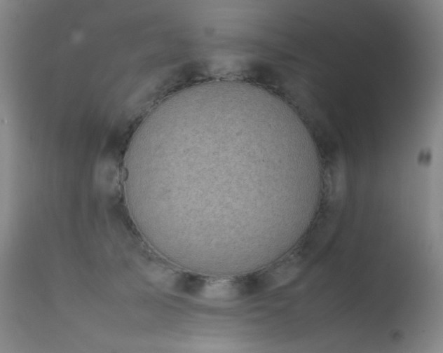 X0000111500705200907141313