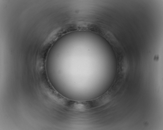 X0000111500706200907141313