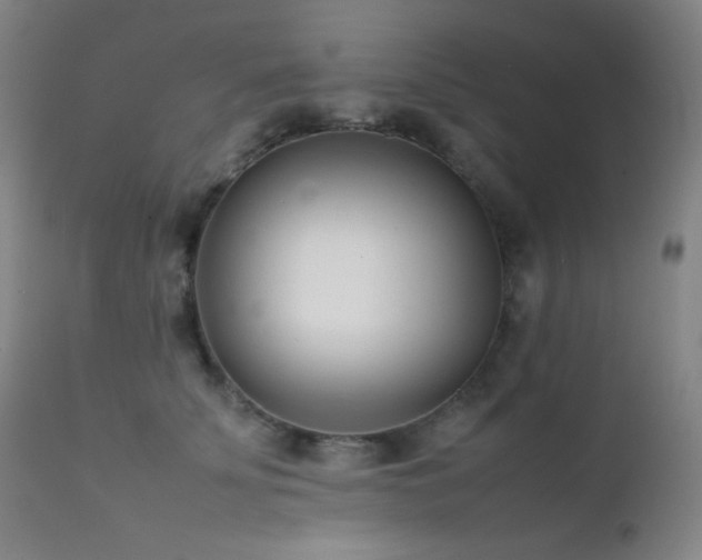 X0000111500707200907141313