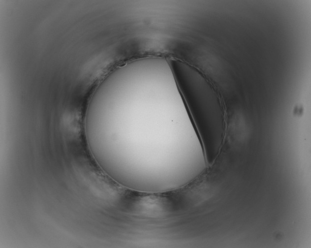 X0000111500708200907141313