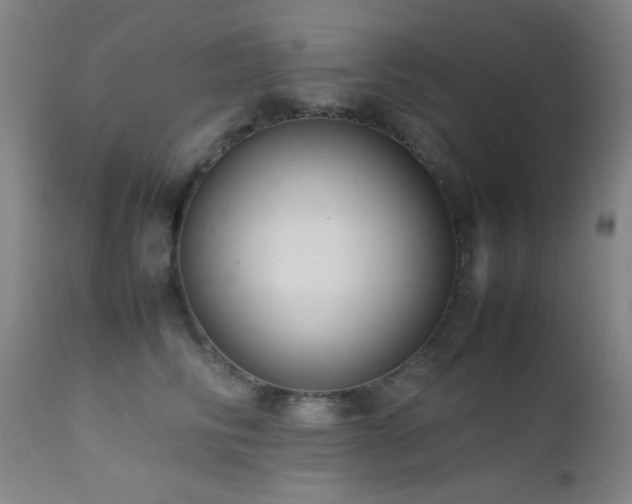 X0000111500710200907141313