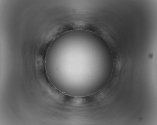 X0000111500711200907141313