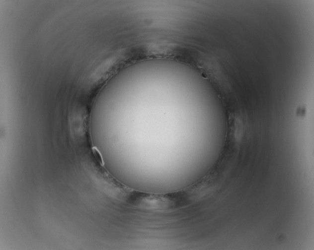 X0000111500712200907141313