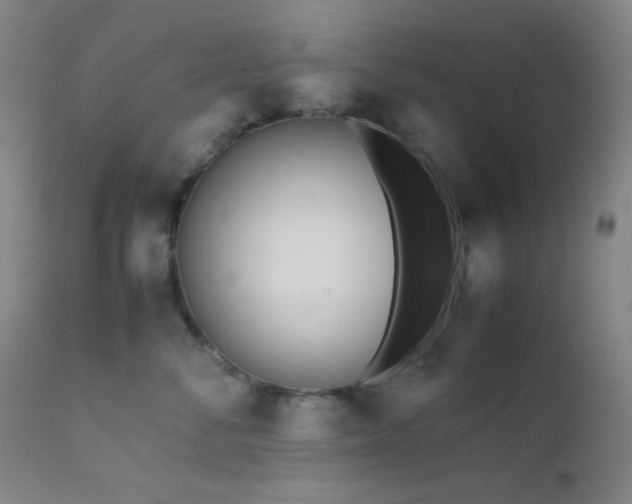 X0000111500716200907141312