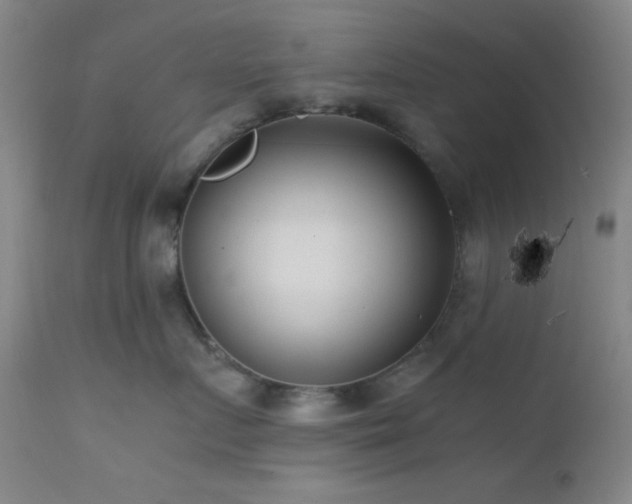 X0000111500719200907141312