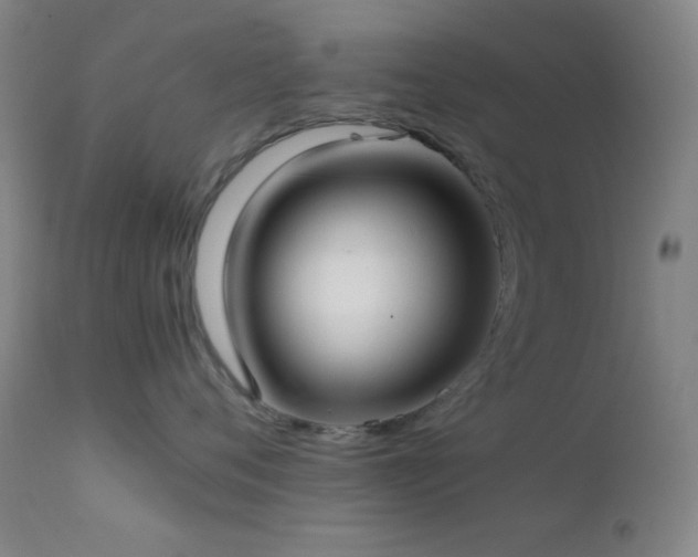 X0000111500720200907141312